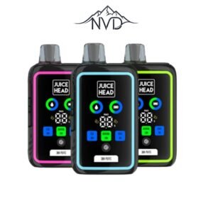 30 000 Puffs / 5% (8 Goûts)